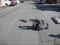 Skateboarding line and a grubas falling
