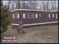 tonterias de los perros y los gatos_baha men who let the dogs out.wmv
