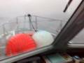 videos de pilotina salerno 27/02/2008