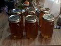 BEE HEALTHY HONEY.AVI
