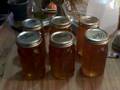 BEE HEALTHY HONEY.AVI