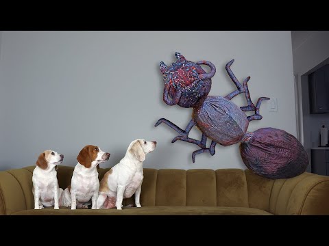 Dogs vs Giant Ant Prank: Funny Dogs Maymo, Penny & Potpie Battle Giant Insects