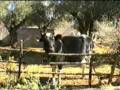 videos de LUISH ! 1° TEMPO