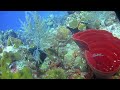 Turks and Caicos Video