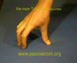 Tuina Massage: Tuina hand and finger treatment - tardistional chinese massage