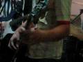 videos de Radar Zero Cinco Tocando  Creedence