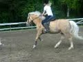 Arska