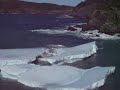 Big Iceberg in Tizzards Harbour Newfoundland