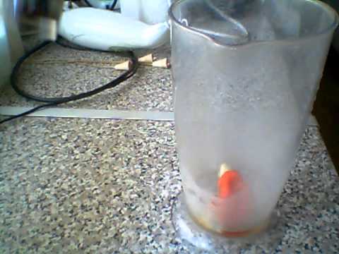 home made bug spray