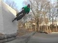 united bmx bike co - ryan metro web section