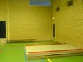 Polliewallflip