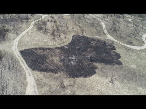 Экологи проводят мониторинг противопожарной ситуации в экосистемах региона видео