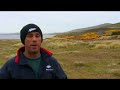 Destination Unknown  New Island, Falkland Islands