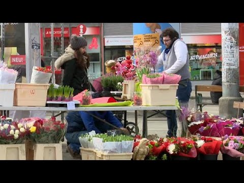 Aufreger-Video über Wien: