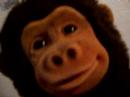 monkey once more monkey once more