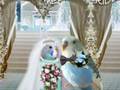Budgie Wedding Kiki & Pippin