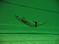 DNF - training dolphin kick  - Aarhus 10/07 #3