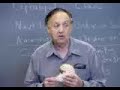Professor Gil Brenner on Cephalopods #6 END