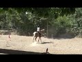 Le 27 juin 2009 - au trot