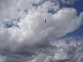 awsome dlg flight! model 1m bobolink