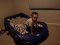dancing 2 yr old falls off bed dancing 2 yr old falls off bed