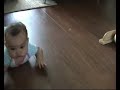 Trinity crawls