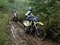 Novos Talentos 7