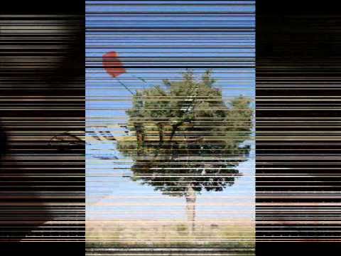 Immagine anteprima YouTube