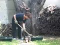 Bruna e il giardinaggio
