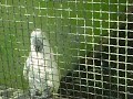 perket du zoo de monaco ^^