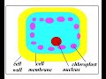 animation@cbps may 07 class 5.10 n 5.11 animation@cbps may 07 class 5.10 n 5.11