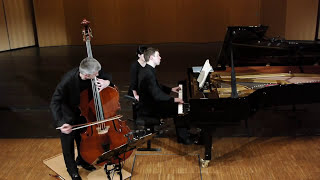 BEETHOVEN: finale from sonata op.5 No.2 | B.Paradžik (db) & H.Staemmler (pno)