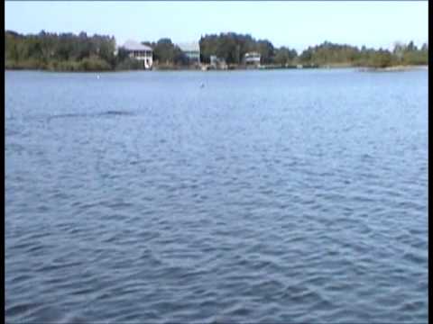 Watch Video