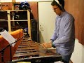 Man tears apart wooden xylophone