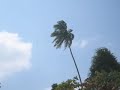 Port Blair - coastal views