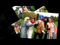 IEF fukshi 2008