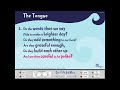 The Tongue - Words on Screen™