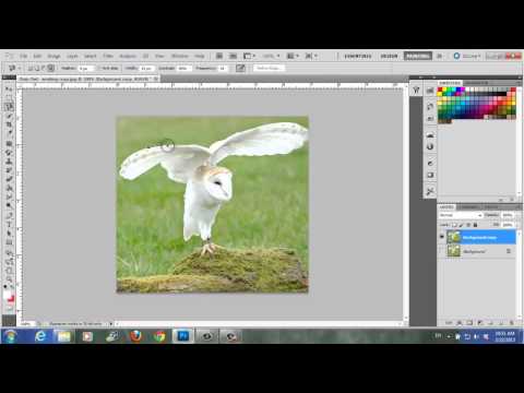 how to use the lasso tool in photoshop