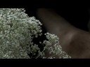 Violens - \"Doomed\" Violens - \"Doomed\"