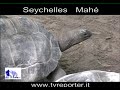Seychelles Mahé