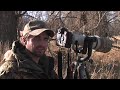 Patience in the Field - Mauro's Moments