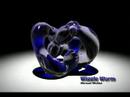 Torus Knot