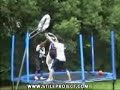 jajaja trampolin jajaja trampolin