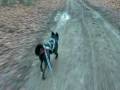 videos de bkj1.MOV