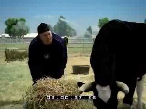 Kevin James Barnyard Bloopers