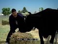 Kevin James Barnyard Bloopers Kevin James Barnyard Bloopers