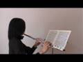 Flute KOEHLER OP.33-2 No.3