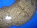 Gold Prospecting