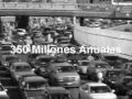 borregos migrantes