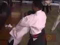 World Wide Jiu-Jitsu & Karate Do Demo